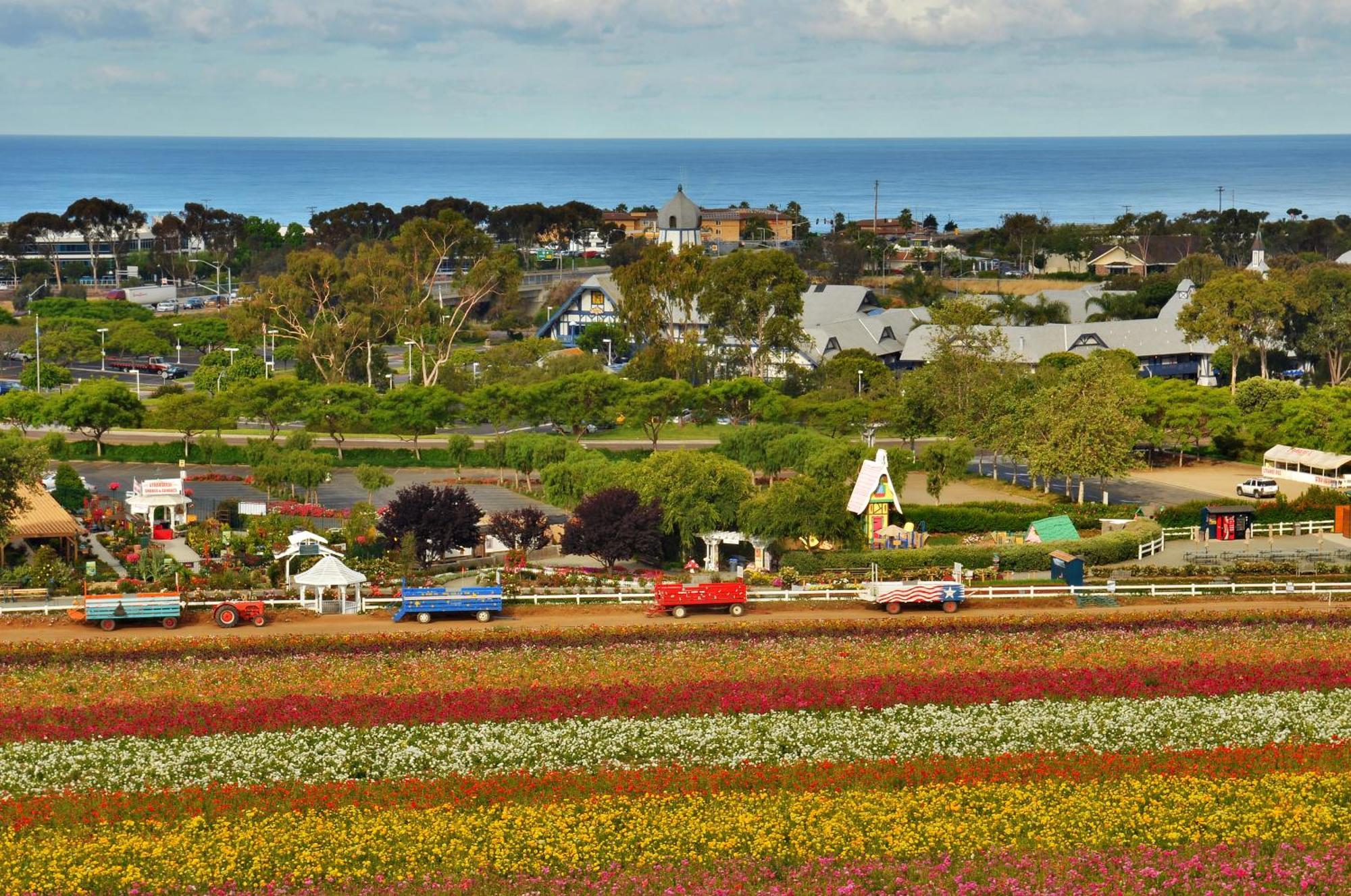 Grand Pacific Palisades Resort Carlsbad Eksteriør billede