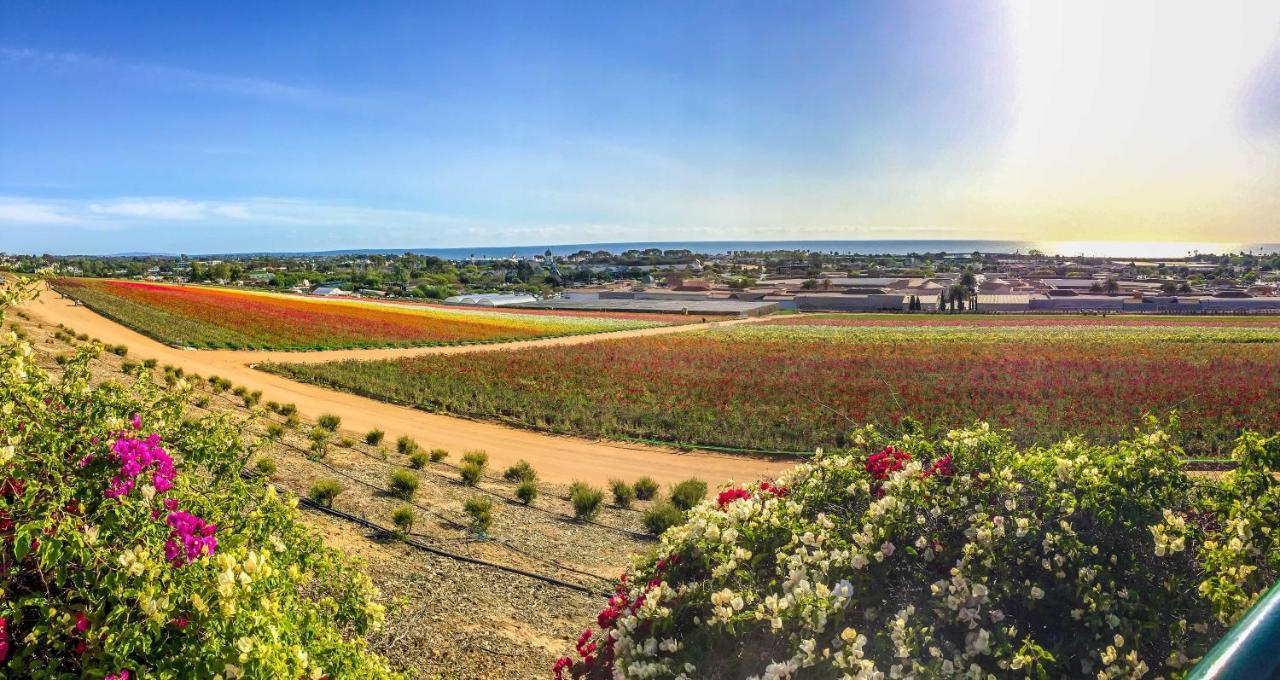 Grand Pacific Palisades Resort Carlsbad Eksteriør billede